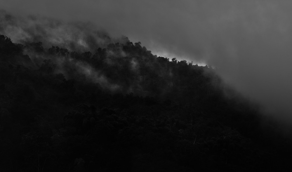 Personal Minca Colombia image